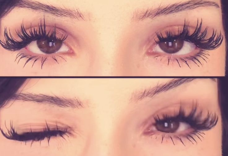lashes